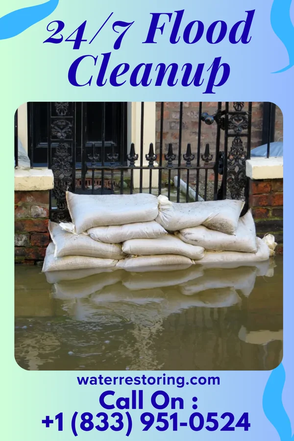 24/7 Flood Cleanup in Iredell, TX